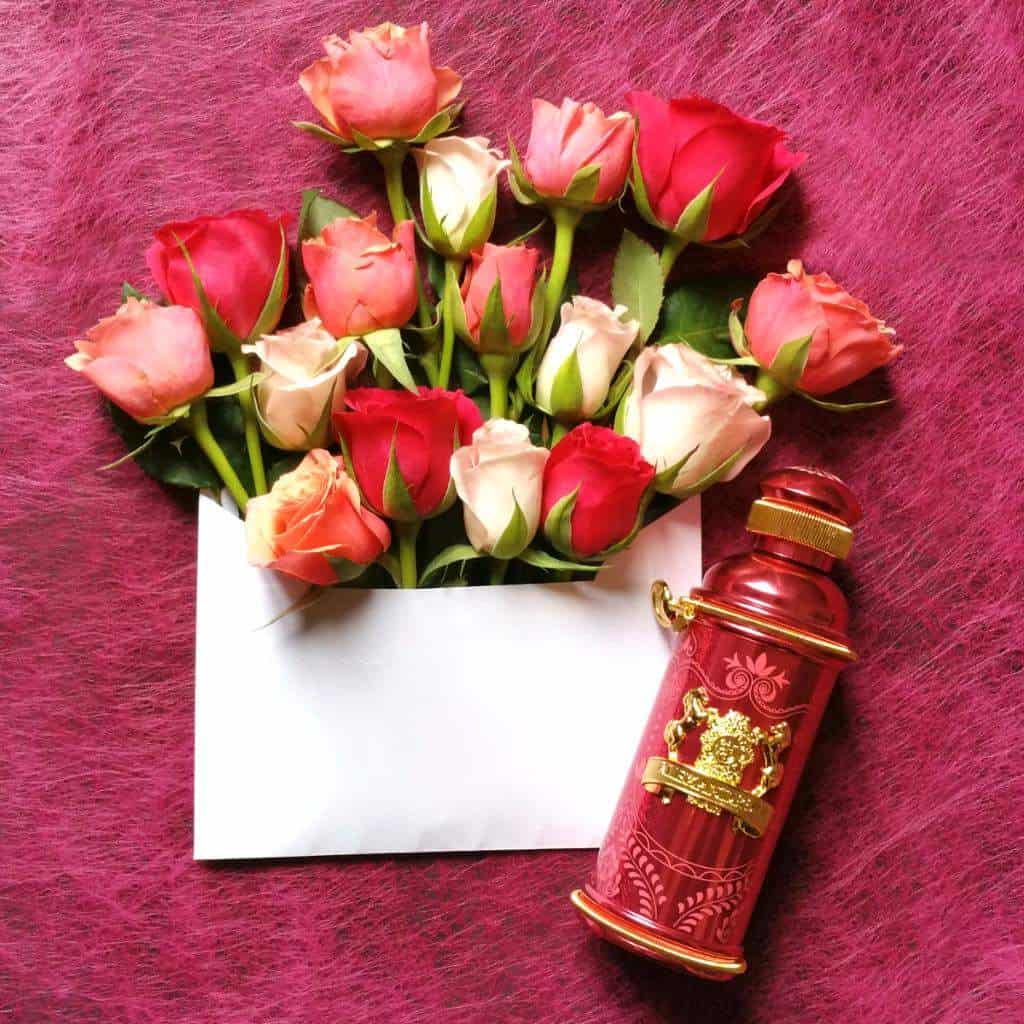 ⁦عطر ألتيس مايسور من ذا كوليكتور⁩ - الصورة ⁦2⁩