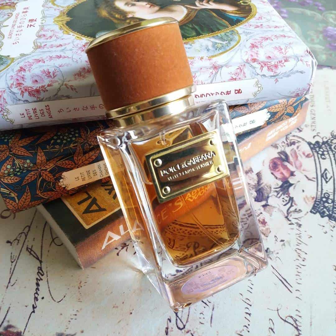 ⁦عطر فيلفت اكزوتيك ليذر من دولتشي أند غابانا⁩ - الصورة ⁦2⁩