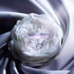 ⁦عطر لا نوي تريزور ماسك دايموند من لانكوم⁩ - الصورة ⁦2⁩