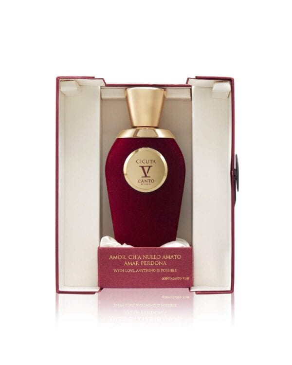 ⁦عطر سيكوتا من في كانتو⁩ - الصورة ⁦2⁩