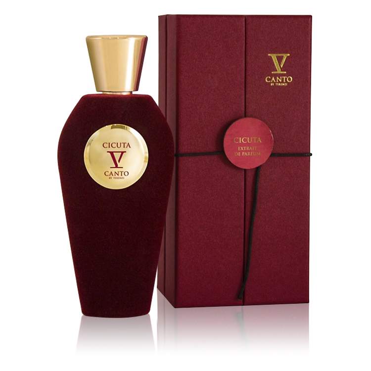 V Canto Cicuta عطر سيكوتا من في كانتو - الصورة 1
