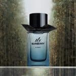 عطر مستر بربري اليمنت من بربري - الصورة 2