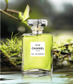 عطر نمبر19 ايو دي بارفيوم من شانيل - الصورة 2