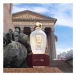 ⁦عطر رينيسانس إكس جيه 1861 من زيرجوف⁩ - الصورة ⁦2⁩