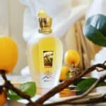 ⁦عطر ناكسوس من زيرجوف⁩ - الصورة ⁦2⁩