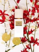 عطر بشانسيا من ميمواز لندن