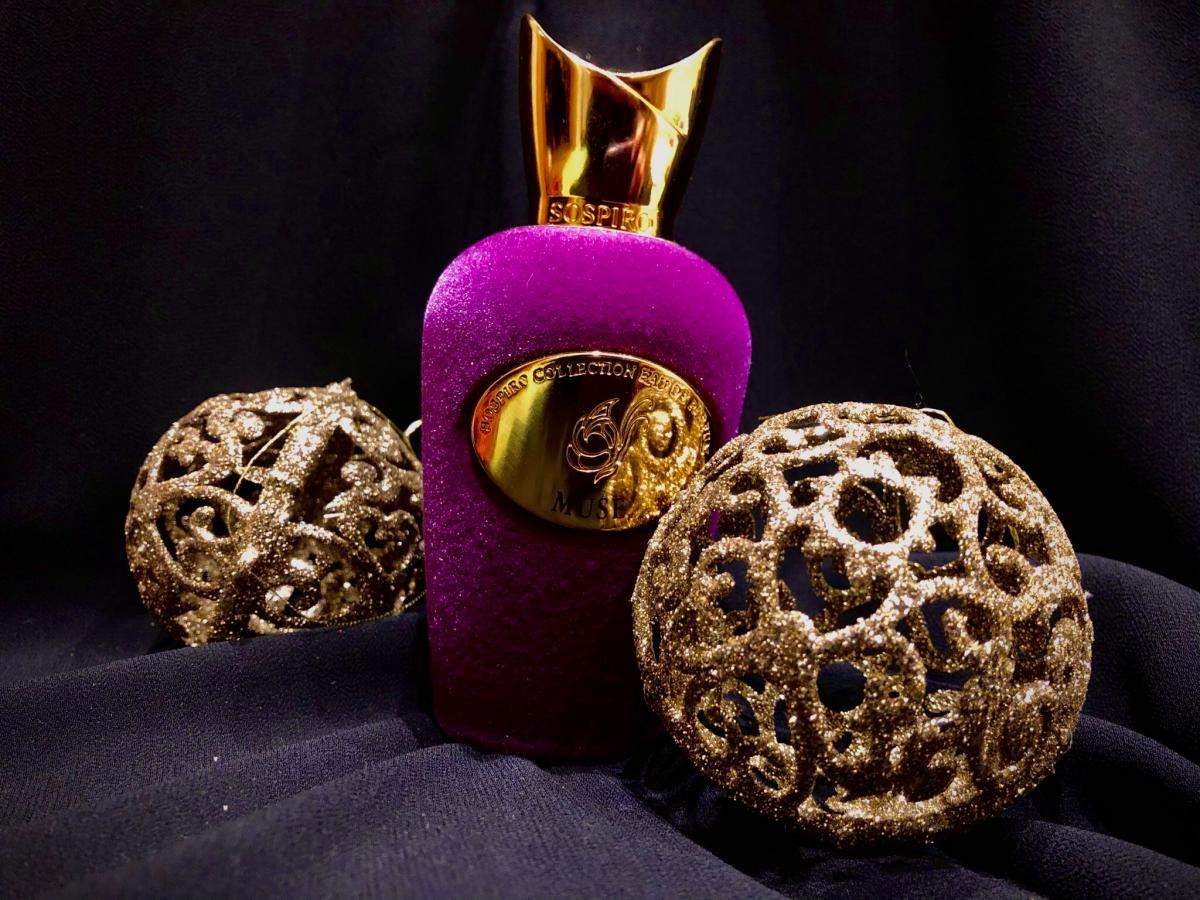 ⁦عطر ميوز من سوسبيرو⁩ - الصورة ⁦1⁩