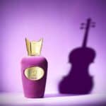 ⁦عطر ميوز من سوسبيرو⁩ - الصورة ⁦2⁩