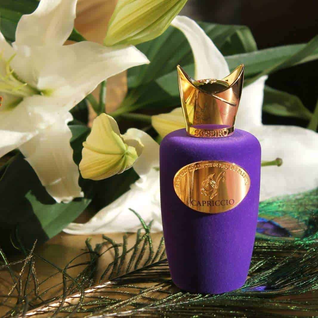 ⁦عطر كابريشيو من سوسبيرو⁩ - الصورة ⁦1⁩