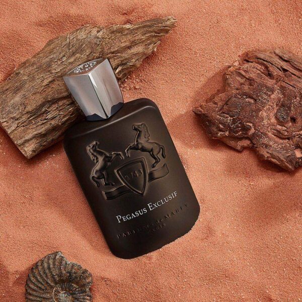 ⁦عطر بيجاسوس إكسكلوسيف من بارفامز دي مارلي⁩ - الصورة ⁦1⁩