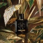 عطر اومو من روبرتو كافالي