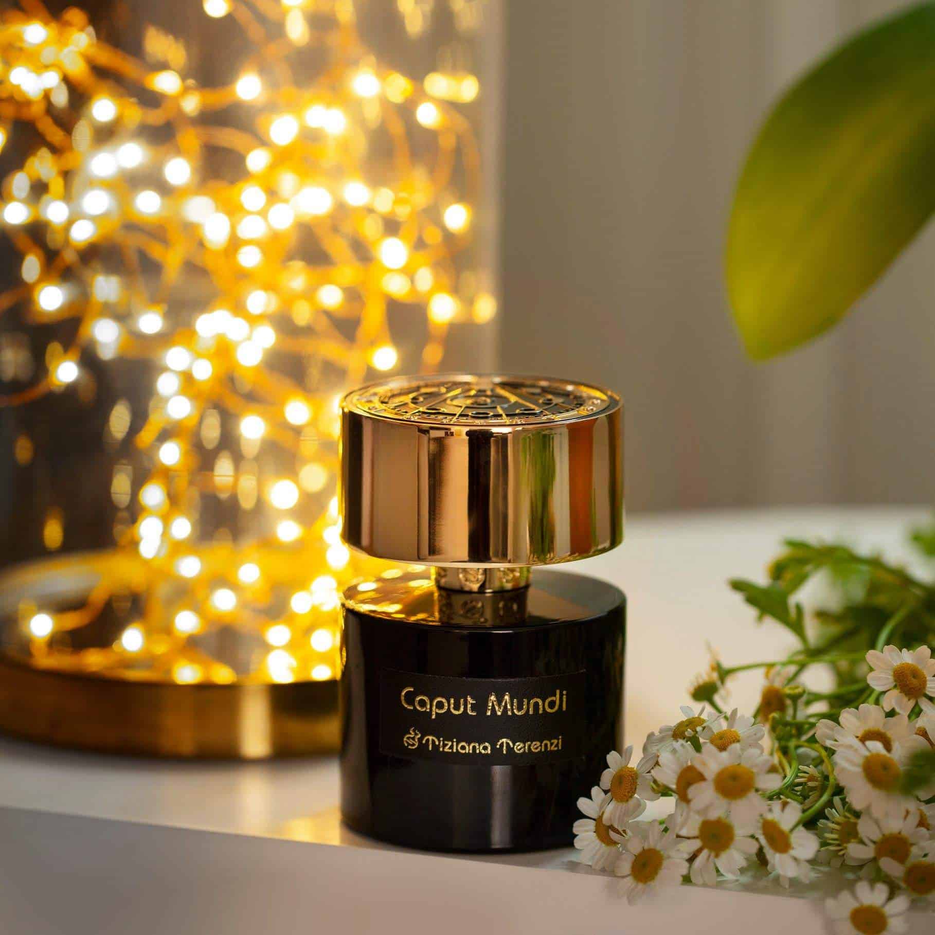 ⁦عطر كابوت موندي من تيزيانا تيرينزي⁩ - الصورة ⁦1⁩