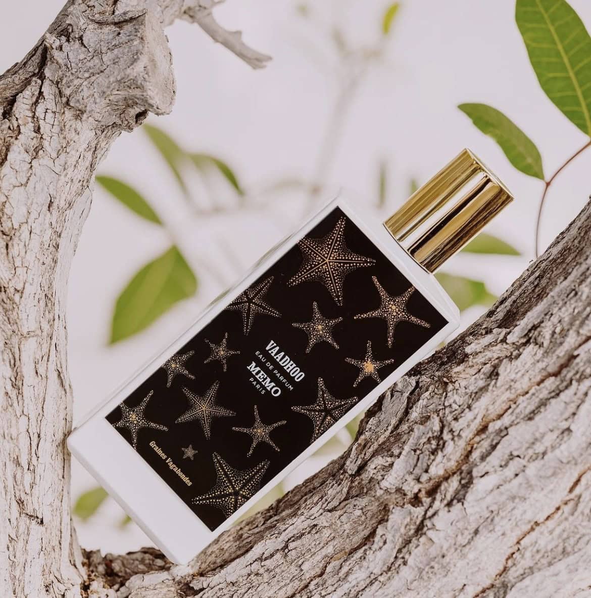 ⁦عطر فادهوو من ميمو باريس⁩ - الصورة ⁦1⁩