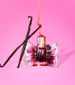 عطر بونبون كوتور انتينس من فيكتور أند رولف