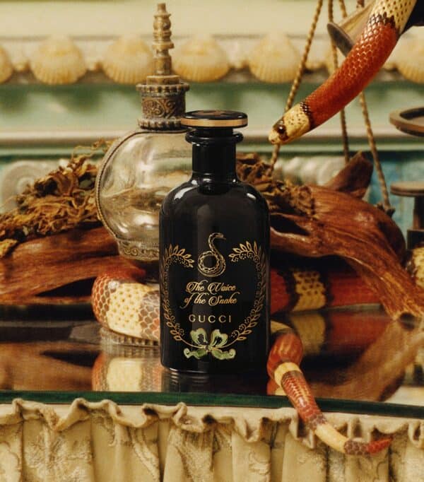 ⁦عطر ذا فويس اوف ذا سناك من غوتشي⁩ - الصورة ⁦1⁩