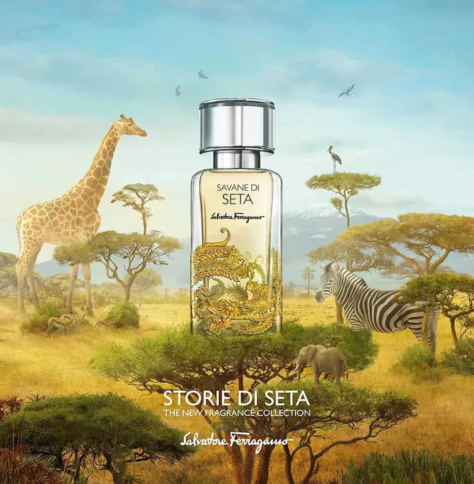 ⁦عطر  سافان دي سيتا من سالفاتوري فيراغامو⁩ - الصورة ⁦1⁩