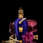 عطر أكسينتو من زيرجوف