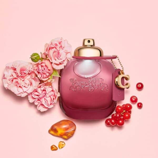 ⁦عطر وايلد روز بارفيوم من كوتش⁩ - الصورة ⁦2⁩