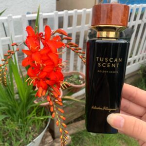 عطر توسكان سانت جولدن أكاسيا برفيوم من سلفاتور فيراغامو