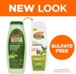 ⁦شامبو بزيت الزيتون لتنعيم الشعر من بالمرز⁩ - الصورة ⁦2⁩