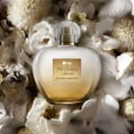 عطر هير جولدن سيكريت تواليت من انطونيو بانديراس