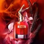 عطر سكاندال لو بارفان من جان بول غوتييه - الصورة 2