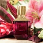 عطر باراديس فوند النسائي من روبرتو كافالي