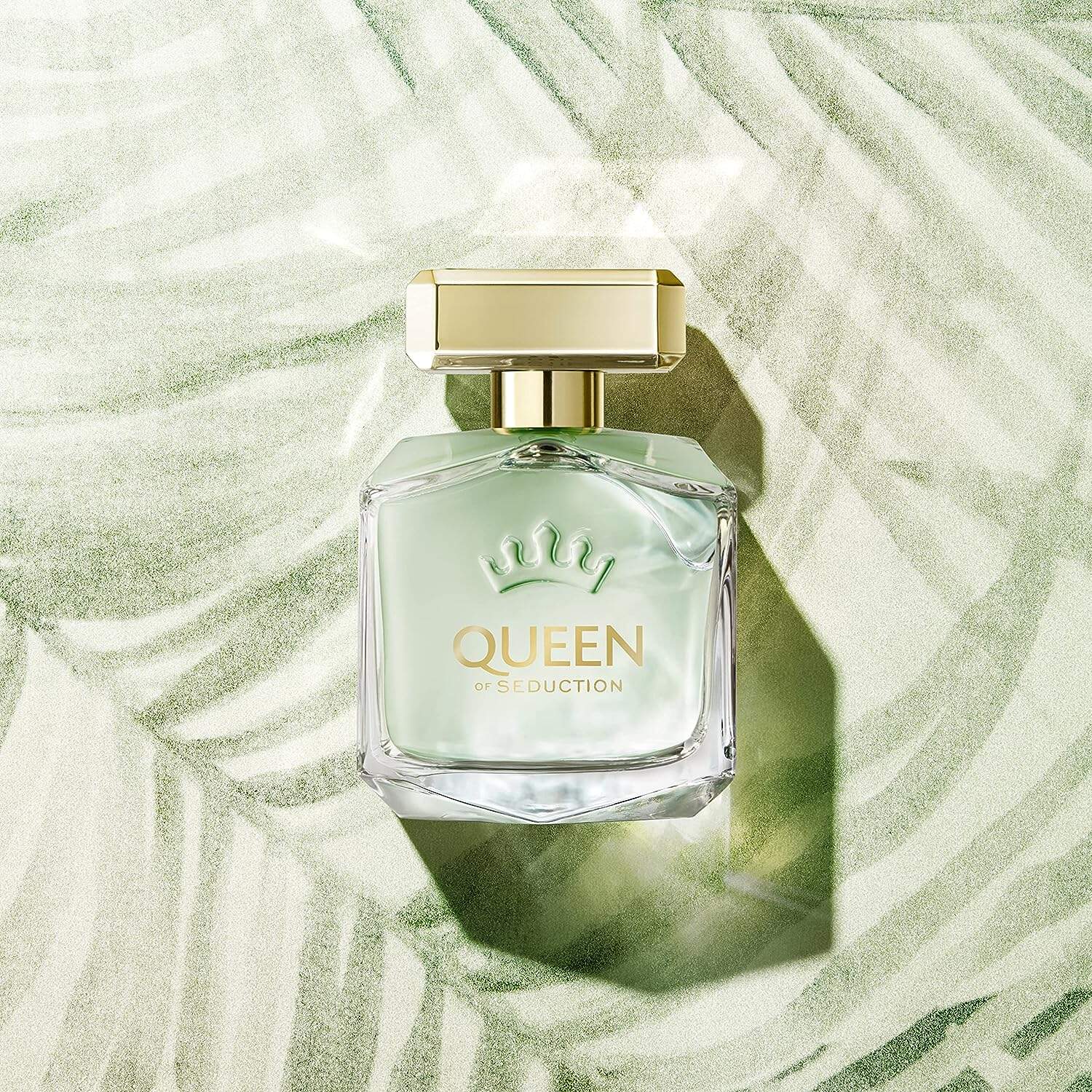 ⁦عطر كوين اوف سيداكشن من انطونيو بانديراس⁩ - الصورة ⁦1⁩