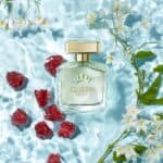 ⁦عطر كوين اوف سيداكشن من انطونيو بانديراس⁩ - الصورة ⁦2⁩