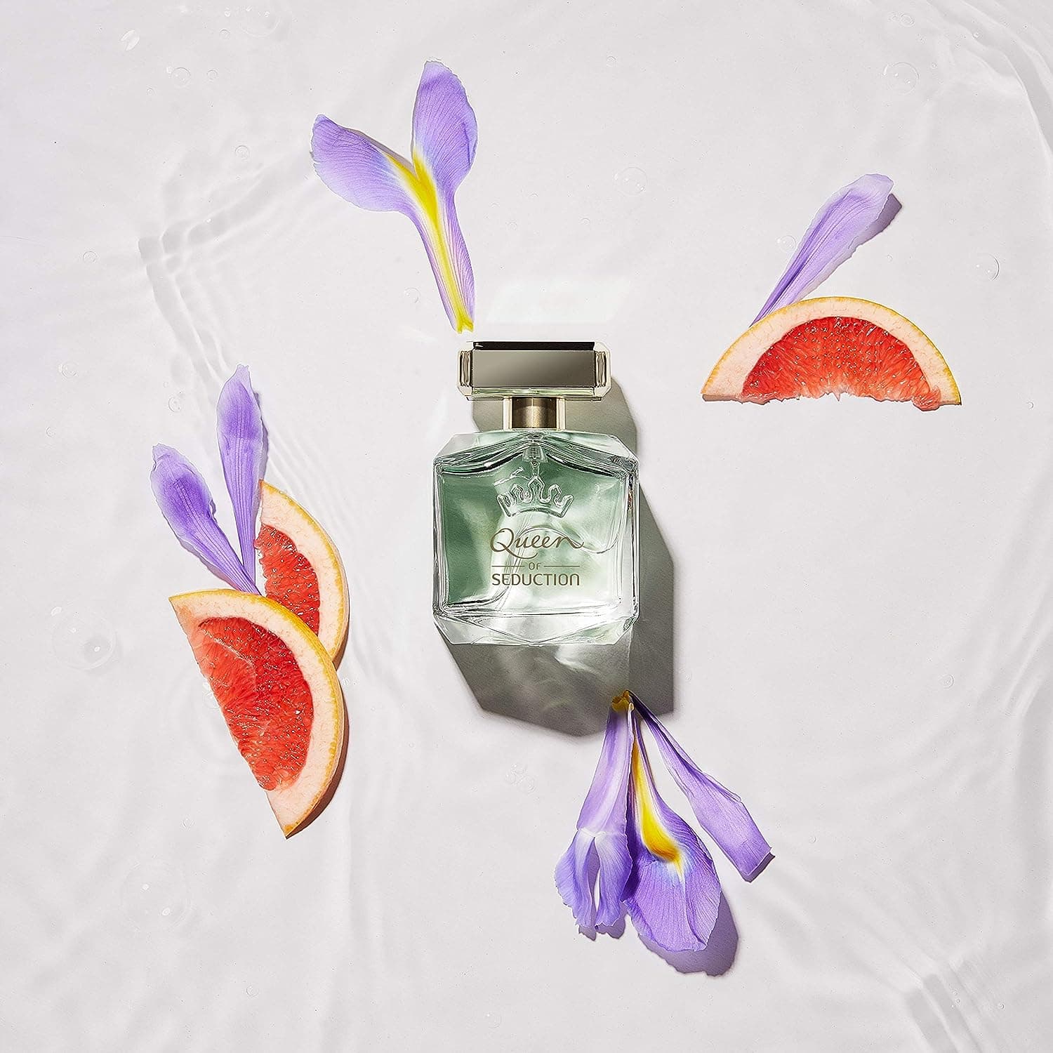 ⁦عطر كوين اوف سيداكشن من انطونيو بانديراس⁩ - الصورة ⁦3⁩