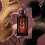عطر ذا سينت أبسوليوت للرجال من بوس - الصورة 2