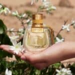 ⁦عطر كلوي نوماد ناتشوريل او دو بارفيوم⁩ - الصورة ⁦2⁩