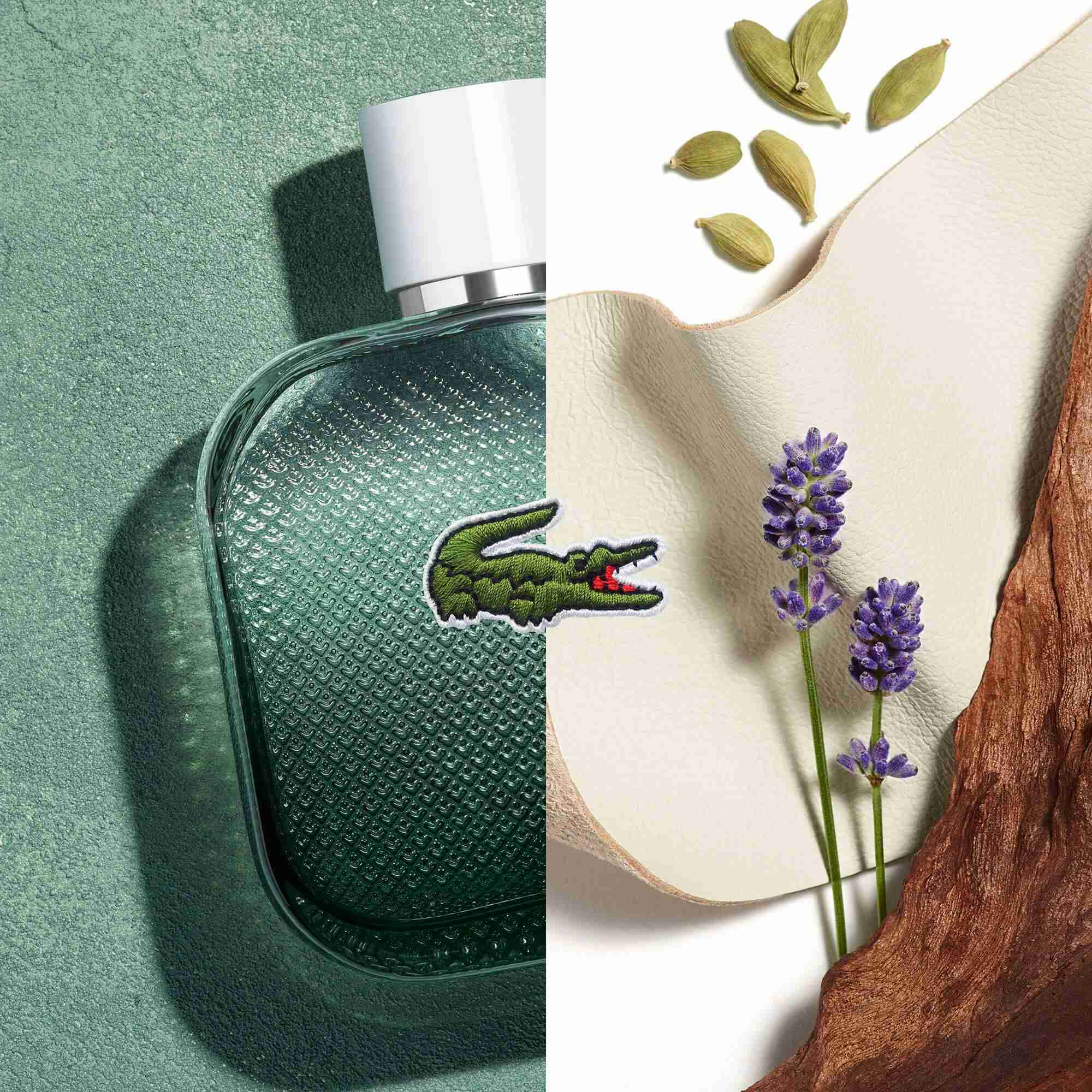 ⁦عطر لاكوست بلانك انتنس⁩ - الصورة ⁦2⁩