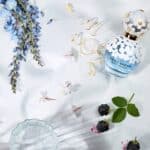 عطر دايزي دريم تواليت  من مارك جاكوبس - الصورة 2