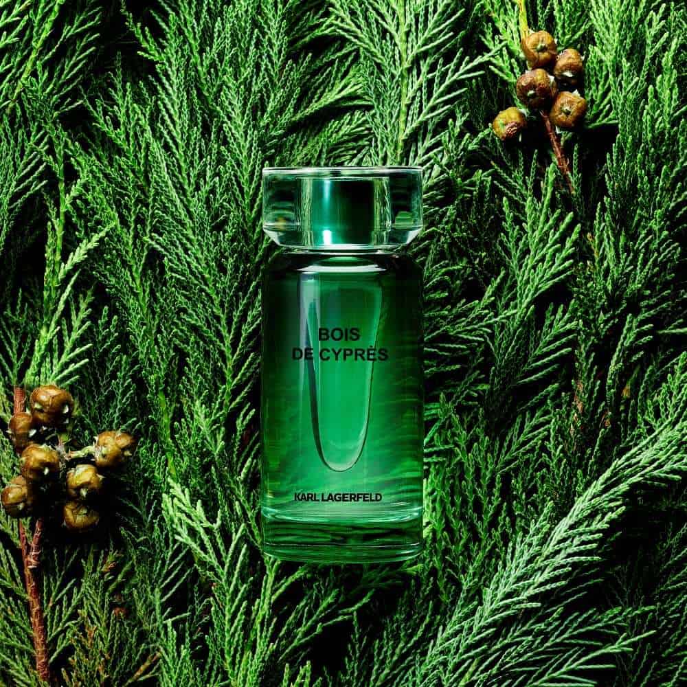 ⁦عطر بوا دي سيبريس من كارل لاغرفيلد⁩ - الصورة ⁦1⁩