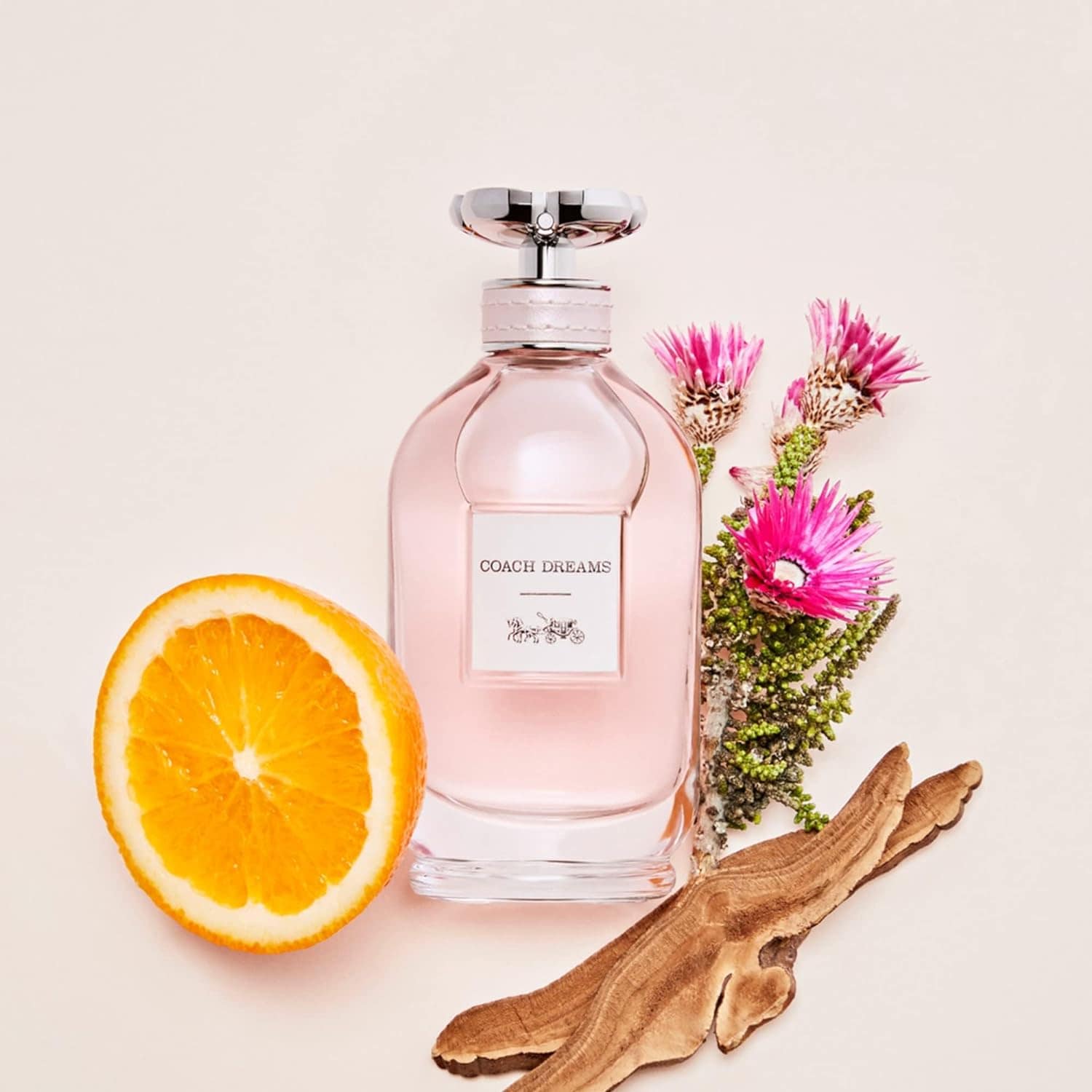 ⁦عطر كوتش دريمز للنساء⁩ - الصورة ⁦1⁩