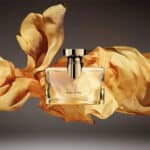 عطر بولغاري سبلينديدا ايريس دور او دي بارفيوم