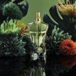 ⁦عطر لي بو براديس جاردن من جان بول⁩ - الصورة ⁦2⁩