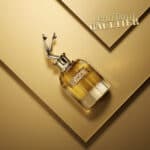 عطر سكاندل أبسولو للنساء من جان بول غوتييه - الصورة 2