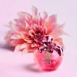 عطر نينا اليجن من نينا ريتشي