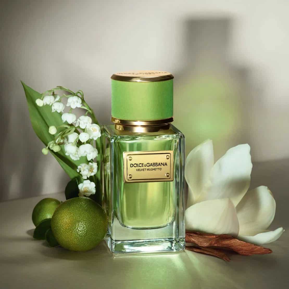 ⁦يجسد عطر فيلفت موجيتو من دولتشي اند غابانا⁩ - الصورة ⁦1⁩