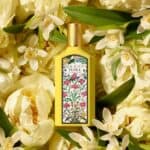 عطر فلورا جورجيوس أوركيد من قوتشي
