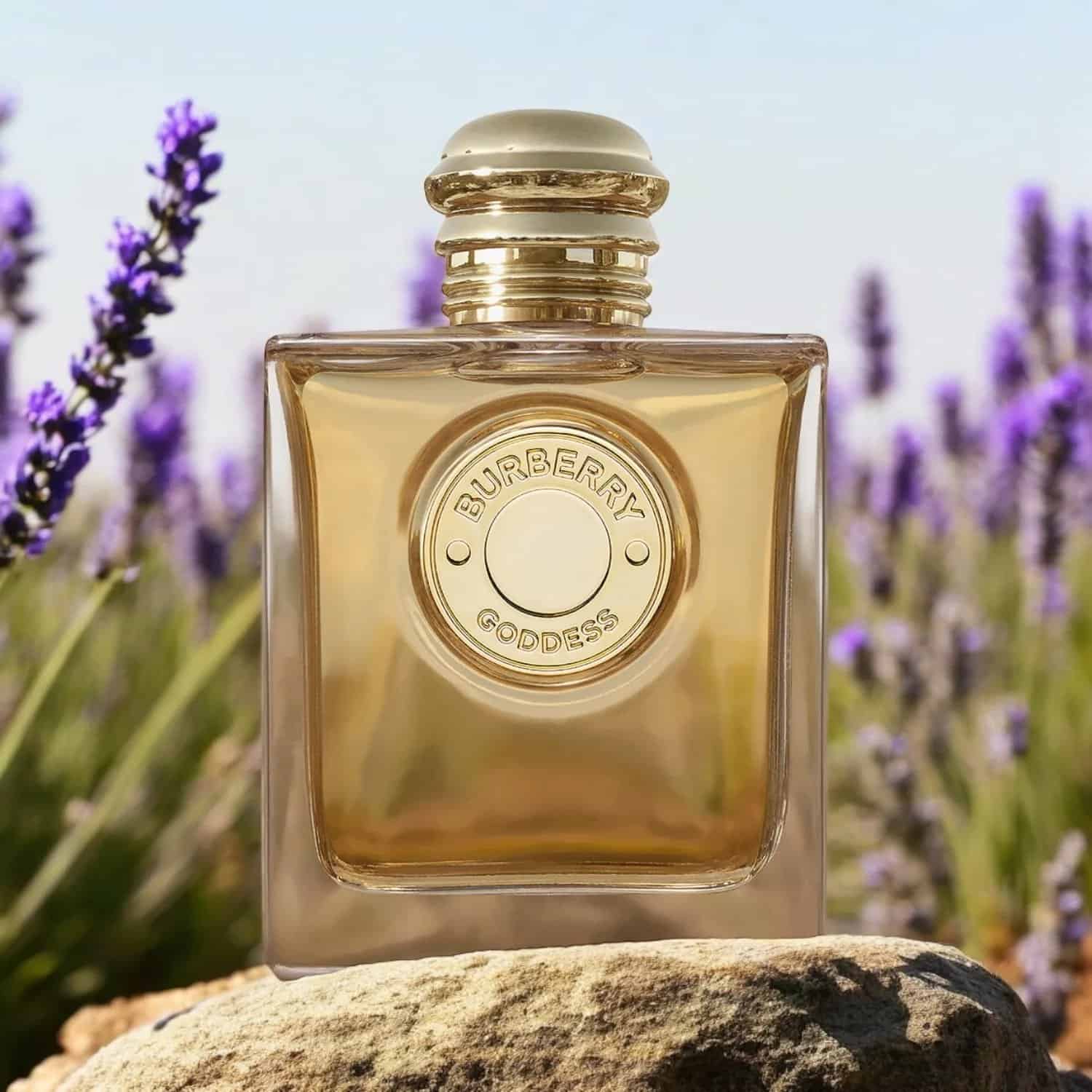 ⁦عطر جودس انتس من بربري⁩ - الصورة ⁦1⁩