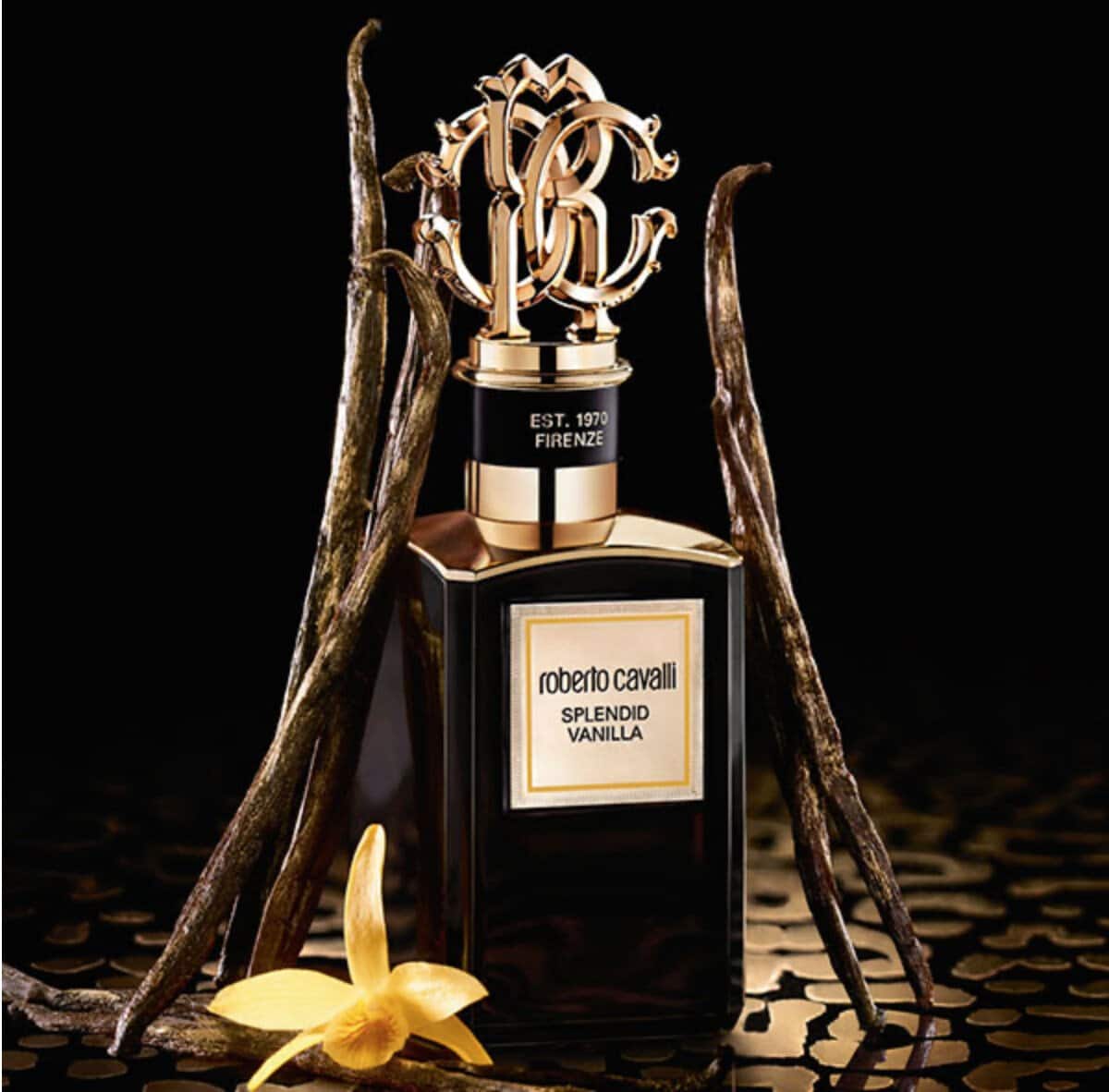 ⁦عطر سبلنديد فانيلا من روبرتو كافالي⁩ - الصورة ⁦1⁩