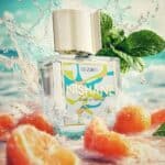 عطر ديزيرو من نيشان