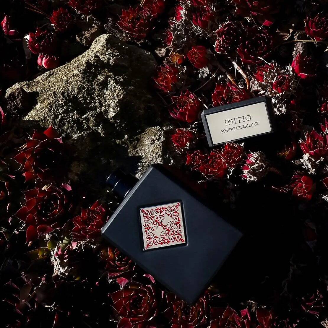 ⁦عطر ميستيك اكسبرينس من إنيشيو⁩ - الصورة ⁦1⁩