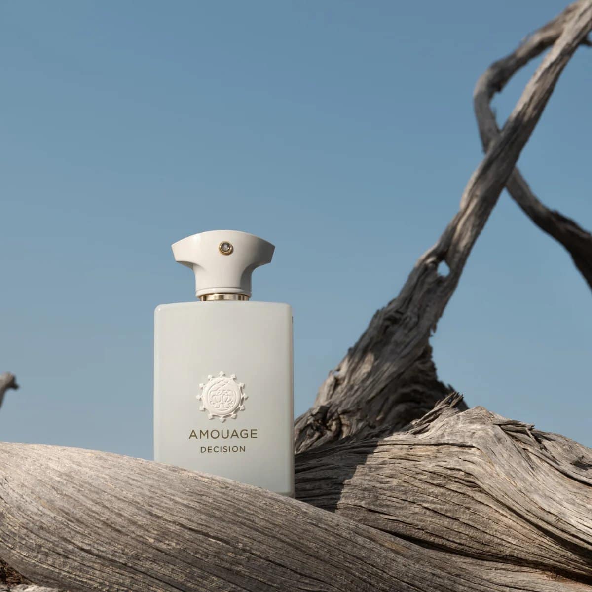 ⁦عطر ديسجن من امواج⁩ - الصورة ⁦1⁩