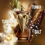 عطر ديفاين الكسير من جان بول غوتييه - الصورة 2